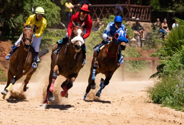 Comienza la II Copa Hípica de San Vicente Ferrer de Valleseco