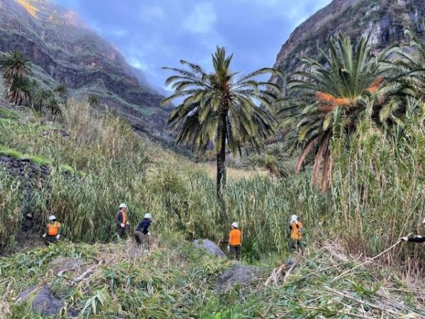 La Gomera: El Cabildo inicia la ejecución de una veintena de actuaciones para mejoras medioambientales   