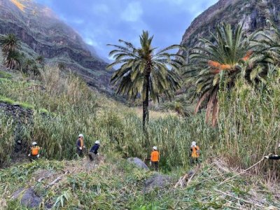 La Gomera: El Cabildo inicia la ejecuci&oacute;n de una veintena de actuaciones para mejoras medioambientales  &nbsp;