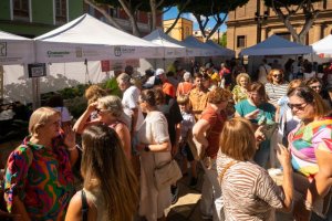 El Mercado Agrícola se estrena con éxito en Gáldar y volverá a la Plaza de Santiago cada dos semanas