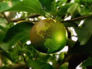 El sendero más verde de la innovación canaria