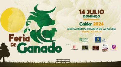 Gáldar: La Feria de Ganado se celebra este domingo en el aparcamiento de la trasera de la Iglesia de Santiago