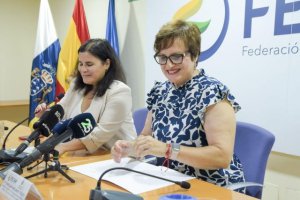 Bienestar Social acuerda con la FECAM la distribución de fondos para favorecer la conciliación familiar en Canarias