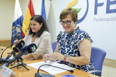 Bienestar Social acuerda con la FECAM la distribuci&oacute;n de fondos para favorecer la conciliaci&oacute;n familiar en Canarias