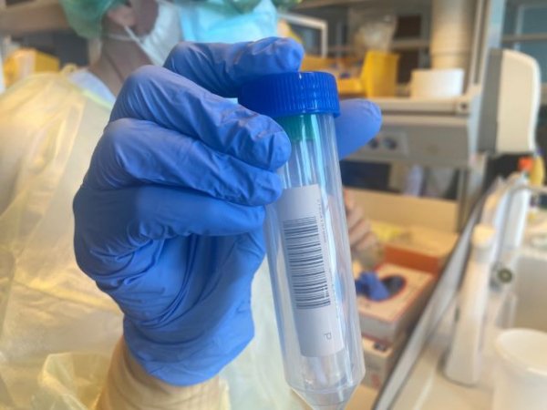 (17-02-22) Sanidad registra 1.079 casos de COVID-19 en las &uacute;ltimas 24 horas