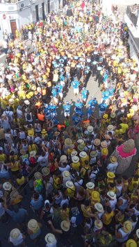 Miles de personas se reúnen en La Aldea para celebrar la Bajada de la Rama de las Fiestas de San Nicolás de Tolentino 2024