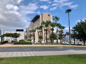 Nefrología del Hospital Insular y Alcer impulsan un proyecto de mentoring para pacientes noveles
