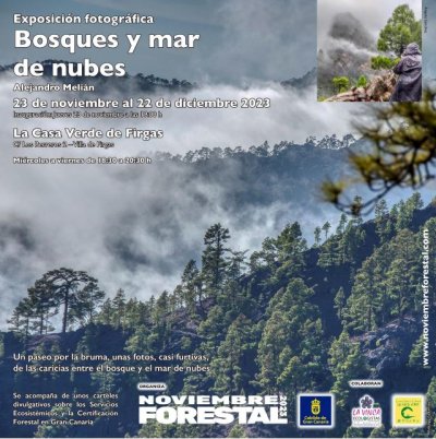 La Exposición “Bosques y mar de nubes”, de Alejandro Melián, lleva Noviembre Forestal a Firgas a partir del 23 de noviembre