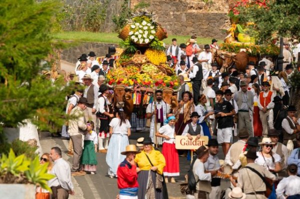 El plazo de inscripci&oacute;n para acompa&ntilde;ar a la carreta de G&aacute;ldar en la Romer&iacute;a del Pino abre el lunes 10 de agosto