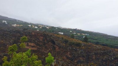 Vivienda reactiva una promoci&oacute;n de 18 viviendas protegidas en San Andr&eacute;s y Sauces cuyas obras empezar&aacute;n en verano