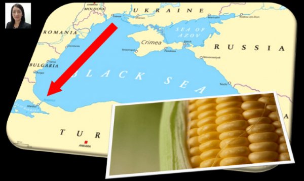 Cooperaci&oacute;n y desarrollo. Sector Primario (IX) &iquest;Crisis alimentaria o de verg&uuml;enza?