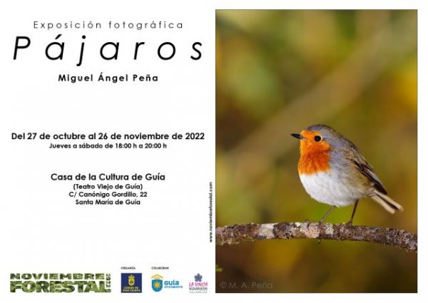 Las exposiciones “Pájaros” y “20 Miradas del Bosque” acercan Noviembre Forestal 2022 a Santa María de Guía