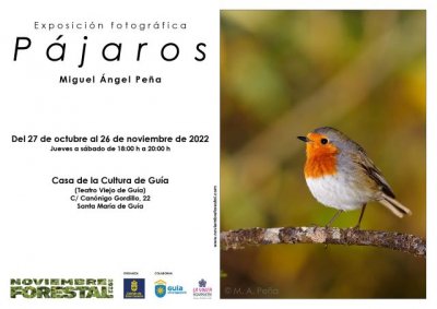 Las exposiciones &ldquo;P&aacute;jaros&rdquo; y &ldquo;20 Miradas del Bosque&rdquo; acercan Noviembre Forestal 2022 a Santa Mar&iacute;a de Gu&iacute;a