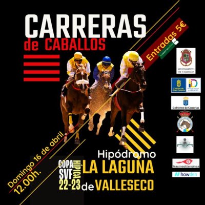 Cuenta atr&aacute;s para la Copa H&iacute;pica de San Vicente Ferrer de Valleseco