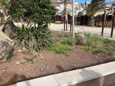 El PSOE de G&aacute;ldar ha denunciado el creciente deterioro que presentan numerosos espacios p&uacute;blicos y jardines, en los barrios del municipio