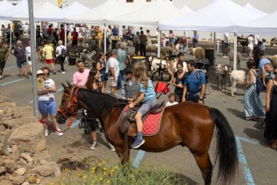 G&aacute;ldar: La Feria de Ganado pone en valor el sector primario de la isla