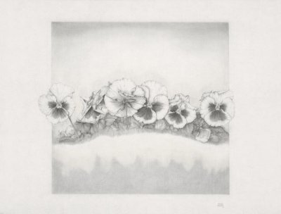 Quinta edici&oacute;n del curso de dibujo e ilustraci&oacute;n bot&aacute;nica en la Real Academia Canaria de Bellas Artes