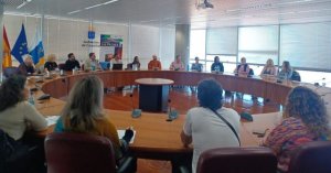 Bienestar Social invita a las entidades de voluntariado a diseñar protocolos conjuntos ante emergencias