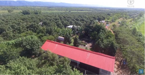 Sector Primario: Agricultura y econom&iacute;a (IV): Autosuficiencia alimentaria. No s&oacute;lo producir alimentos