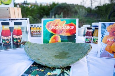 Comercio y Soberan&iacute;a Alimentaria visitan la empresa Bebe Tuno
