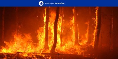 Alerta M&aacute;xima por Riesgo de Incendios Forestales en El Hierro, La Palma, La Gomera, Tenerife y Gran Canaria