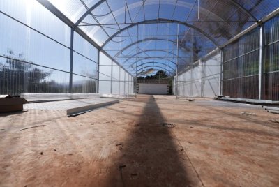 Valleseco ejecuta un vivero municipal para la formaci&oacute;n de empleo y reforestaci&oacute;n