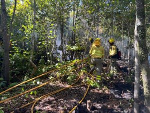 Actualización de la situación del incendio forestal de Tenerife