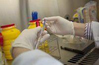 Sanidad incorpora nuevo equipamiento al Laboratorio de Salud P&uacute;blica del &Aacute;rea de Salud de Gran Canaria