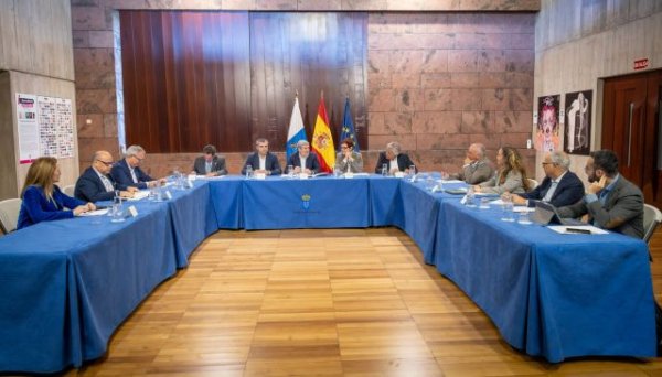 Clavijo resalta el respaldo del Pacto Canario de la Migración al decreto ley de menores