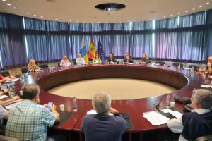 Gobierno y sindicatos acuerdan la creación de los Comités de Igualdad de la Administración Pública canaria