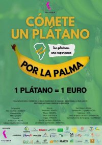 La Federaci&oacute;n de &Aacute;reas Comerciales recauda 30.000 euros para las Pymes afectadas por el volc&aacute;n en la Palma