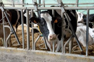 El Gobierno canario refuerza la bioseguridad en el sector primario
