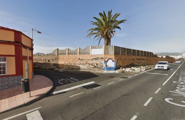 Turcón muestra su indignación ante la pérdida de una singular palmera en el Calero Alto de Telde