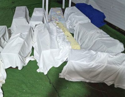 G&aacute;ldar finaliza una nueva campa&ntilde;a de esterilizaci&oacute;n y control de 250 gatos