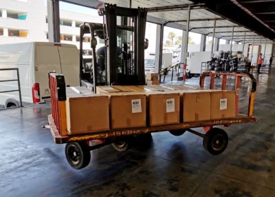 PLANASER 2.0 avanza gracias al &eacute;xito en el env&iacute;o de ejemplares vivos de seriola desde Canarias