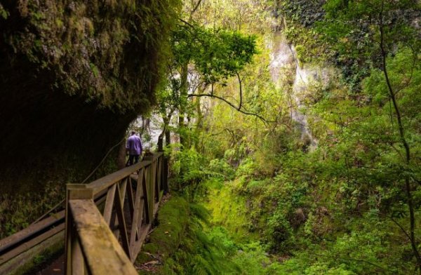 Turismo de Canarias distribuye los 8.000 bonos valorados en 2 millones para impulsar la economía de La Palma