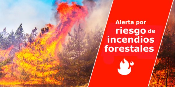 El Gobierno de Canarias declara la situación de alerta por riesgo de incendios forestales