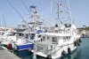 El V Open Internacional de Pesca Pasito Blanco confirma la preinscripci&oacute;n de cuarenta y cinco embarcaciones con la participaci&oacute;n de varias tripulaciones internacionales