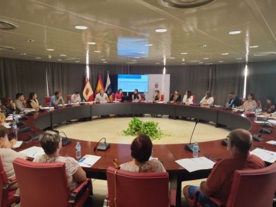 El &Aacute;rea de Salud de La Gomera celebra una reuni&oacute;n del Consejo de Salud de la isla