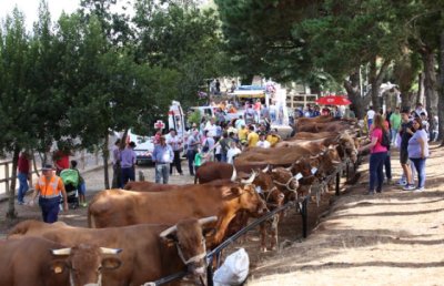 Día de tradiciones y del Turismo en la Laguna de Valleseco