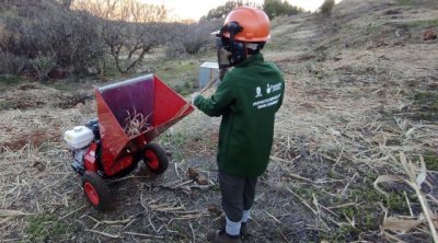 La IV edici&oacute;n de &lsquo;Emplea Verde Gran Canaria 2021&rsquo; reforesta un total de 22 hect&aacute;reas de la cumbre de la Isla