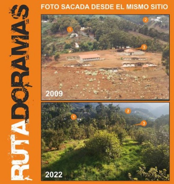 Villa de Firgas: Ruta Doramas, plantando un bosque