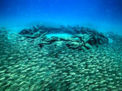 Turismo de Canarias promociona los fondos de las islas en la feria de buceo Duikvaker en Holanda