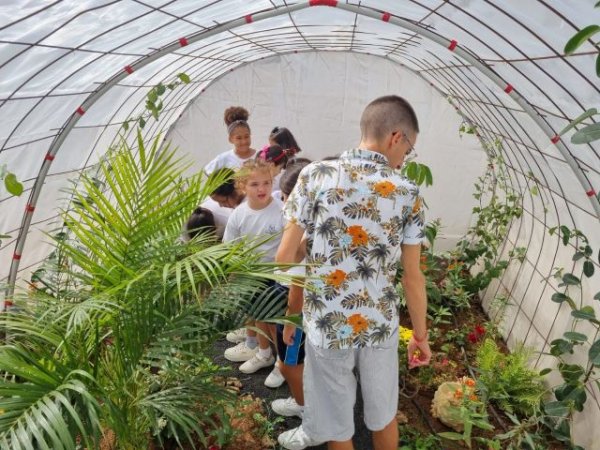 El CEIP Benito Méndez Tarajano construye un mariposario en sus instalaciones