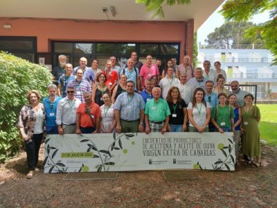 Gobierno canario y productores de aceituna y aceite a&uacute;nan esfuerzos para potenciar al sector