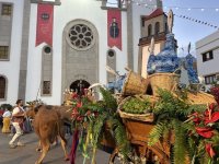 La Aldea celebra la tradicional romer&iacute;a-ofrenda en honor a San Nicol&aacute;s de Tolentino con la participaci&oacute;n de 29 carretas