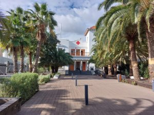 Cruz Roja Española a juicio ante la Sala de lo Social del Tribunal Superior de Justicia de Canarias