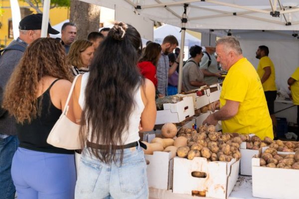 El Mercado Agr&iacute;cola de G&aacute;ldar vive una jornada de r&eacute;cord en la Plaza de Santiago