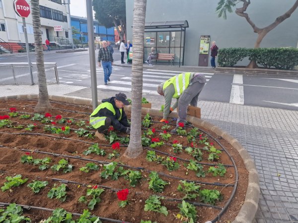 El Ayuntamiento de Guía finaliza el proyecto ‘Ruralia 2023’ destinado a la limpieza y mejora de las vías rurales y los espacios públicos