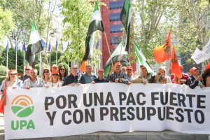Cientos de agricultores y ganaderos reclaman en Madrid una PAC fuerte y con presupuesto